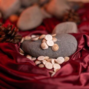 Gomati Chakra | Divine Protection & Fortune