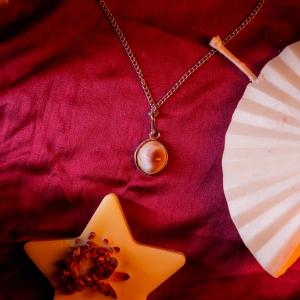 Gomati Chakra Pendant | Wheel of Fortune