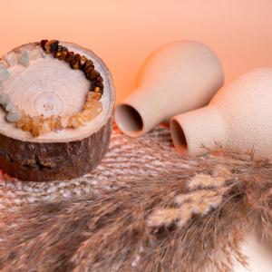 Wealth and Abundance Chip Bracelet | Prosperity Magnet & Success