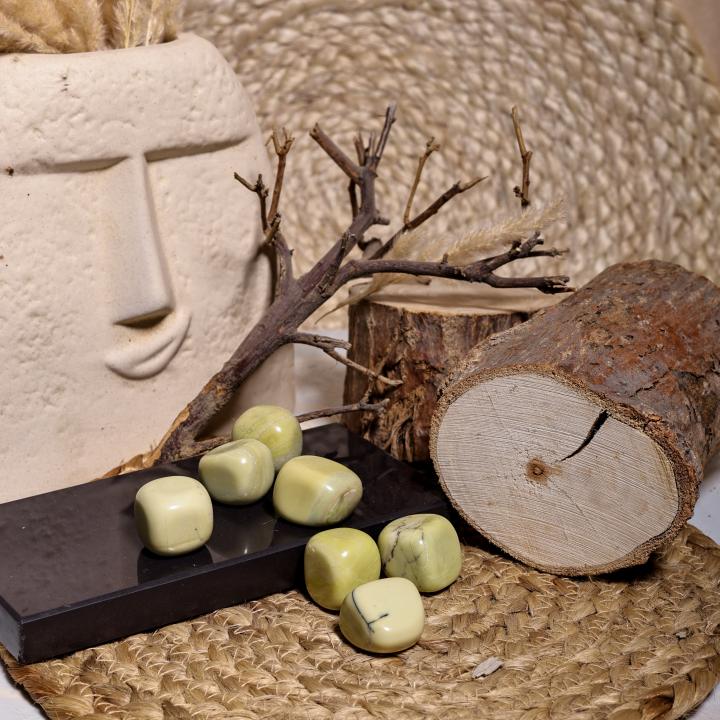 Serpentine Tumble | Transformation & Healing