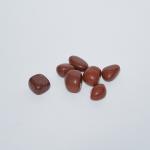 Red Jasper Tumble | Strength & Stability