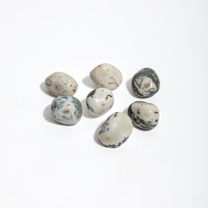 Tree Agate Tumble | Stability & Growth