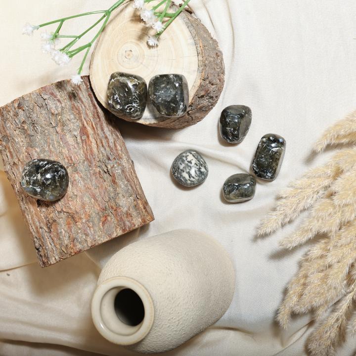 Moss Agate Tumble | Growth & Grounding