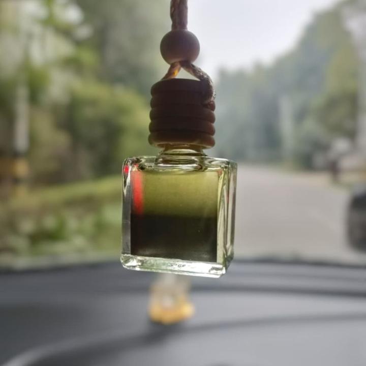 Mountain Mist Car Hanging Perfume | Freshness & Energy