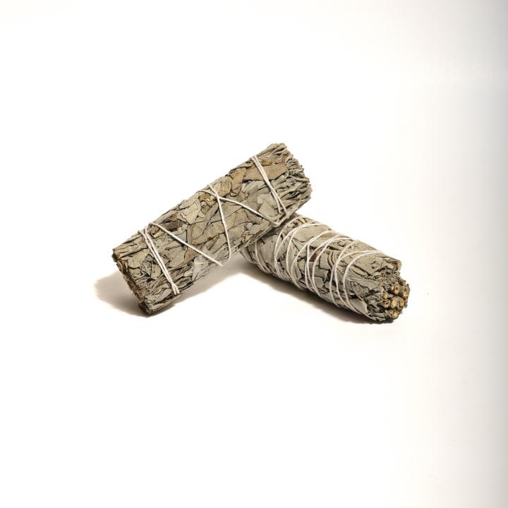 California White Sage | Purification & Protection