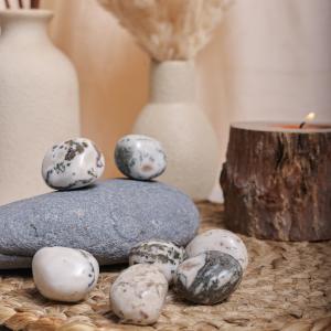 Tree Agate Tumble | Stability & Growth