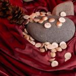 Gomati Chakra | Divine Protection & Fortune