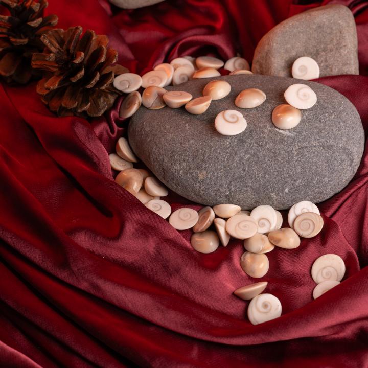 Gomati Chakra | Divine Protection & Fortune