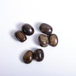 Bronzite Tumble | Grounding & Confidence