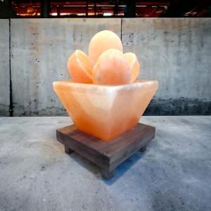 Hawan Kund Himalayan Rock Salt Crafted Lamp | Purity & Protection