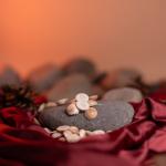 Gomati Chakra | Divine Protection & Fortune