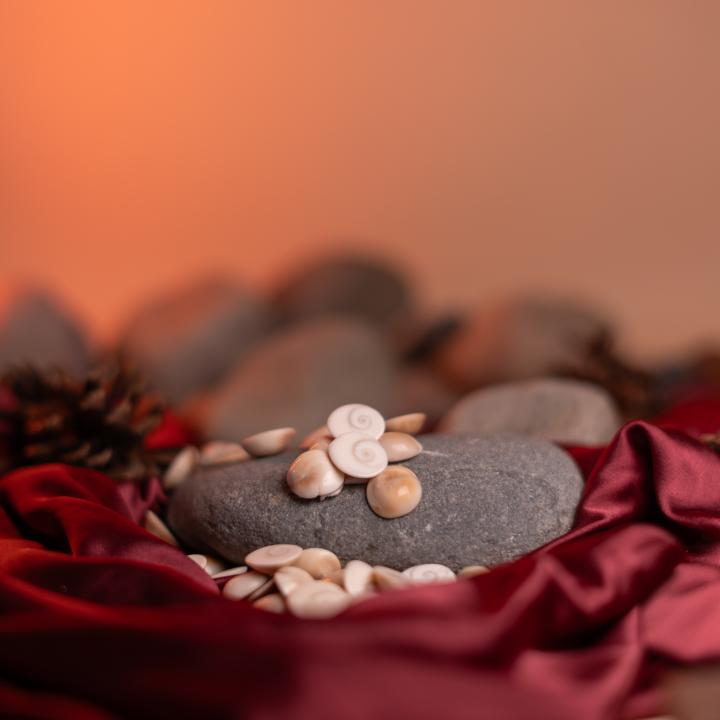 Gomati Chakra | Divine Protection & Fortune