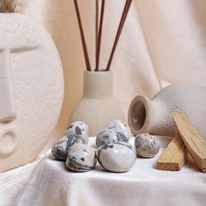 Tree Agate Tumble | Stability & Growth