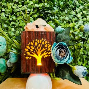 Wish Tree Himalayan Rock Salt Plugin Lamp | Prosperity & Growth