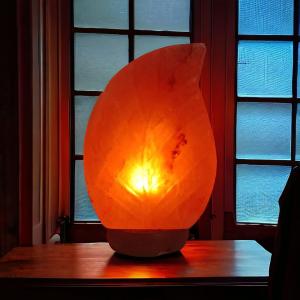 Leaf Shaped Himalayan Rock Salt Crafted Lamp | Growth & Renewal