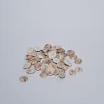 Gomati Chakra | Divine Protection & Fortune