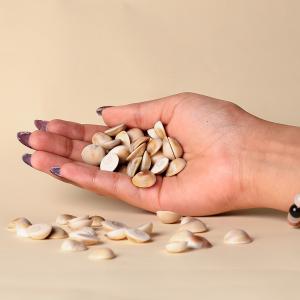 Gomati Chakra | Divine Protection & Fortune