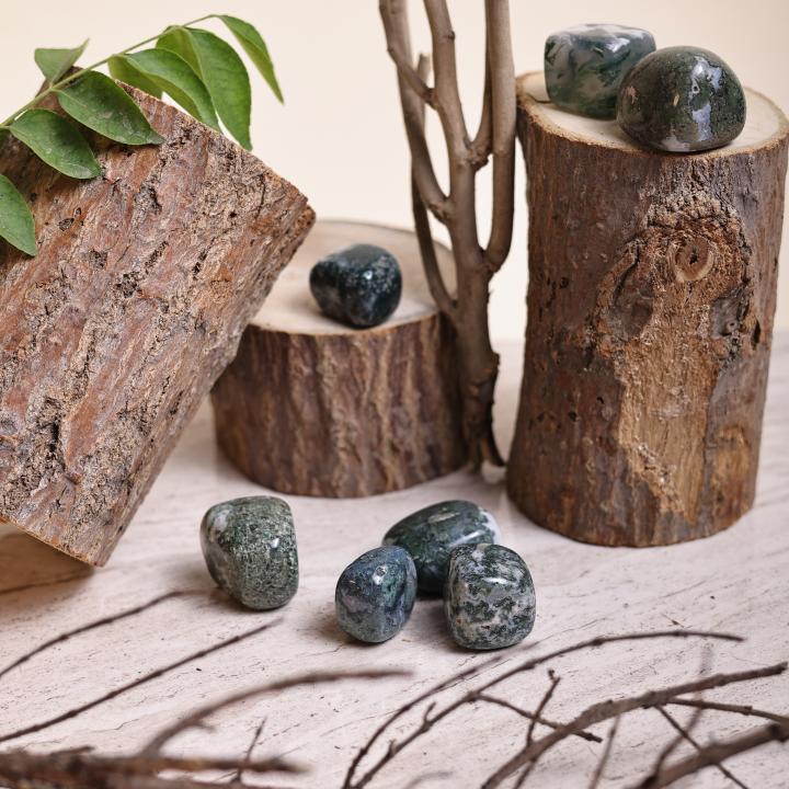 Moss Agate Tumble | Growth & Grounding